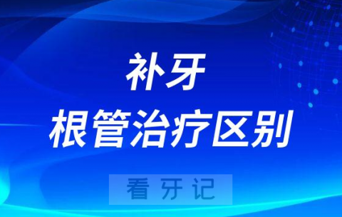 补牙根管治疗区别价格为什么差这么多