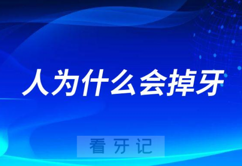 人为什么会掉牙附八大原因和五大危害