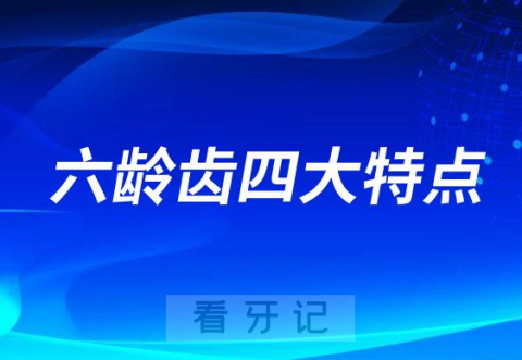 什么是六龄齿附六龄齿四大特点