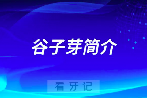 杭州口腔医院长兴分院谷子芽简介