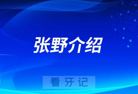 张野襄阳牙齿修复医生专家