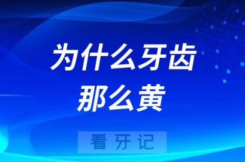 每天都坚持刷牙为什么牙齿还那么黄