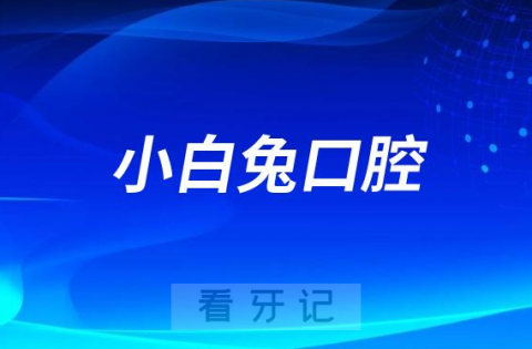 小白兔口腔是哪一年创立的创始人是谁