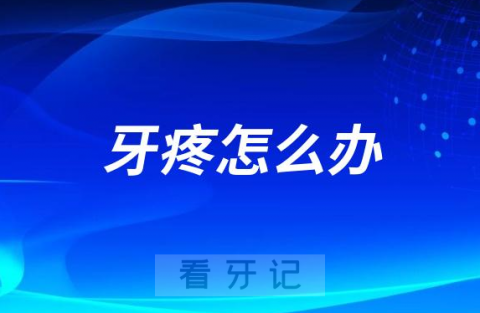 牙疼怎么办十大缓解方法最新盘点