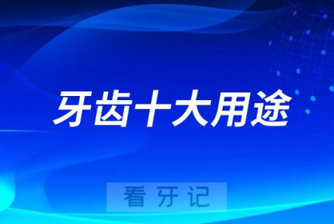 牙齿十大用途盘点