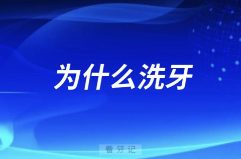 每天都刷牙两到三次为什么还要洗牙？