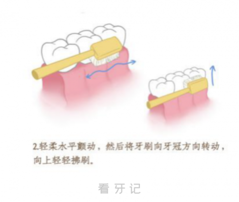 巴氏刷牙法分步骤高清图片