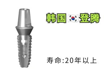 韩国登腾Dentium种植体产品介绍说明书