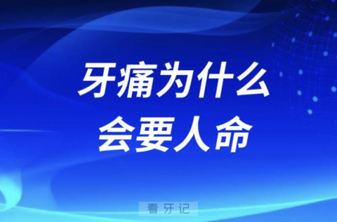 牙痛为什么会“要人命”？根本原因在哪里？