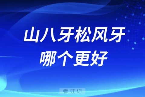 山八牙和松风牙哪个更好？