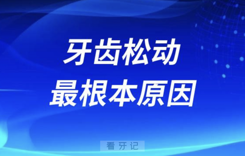 牙齿松动的最根本原因是哪个？最新解读来了