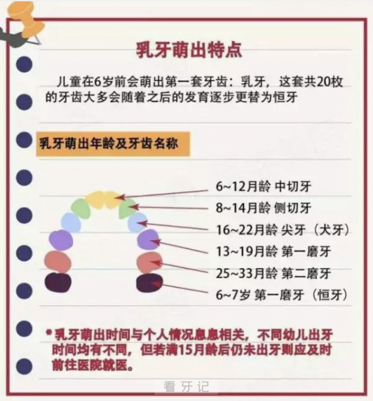 儿童牙齿生长周期表（0岁-6岁-12岁-21岁）