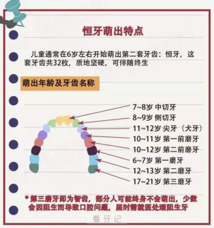 儿童牙齿生长周期表（0岁-6岁-12岁-21岁）