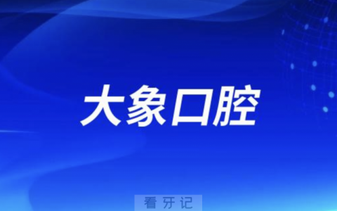 泸州大象口腔2024年端午节放假通知