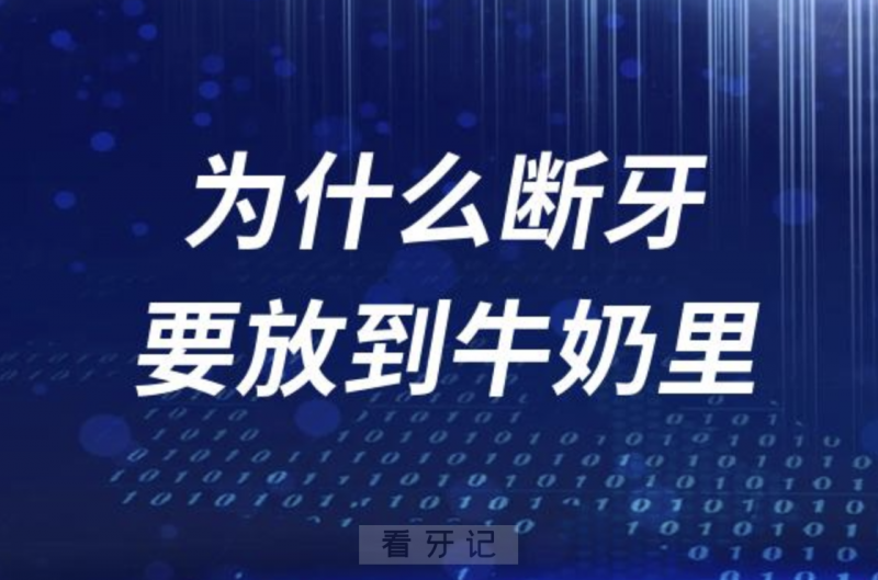 为什么断牙要放到牛奶里