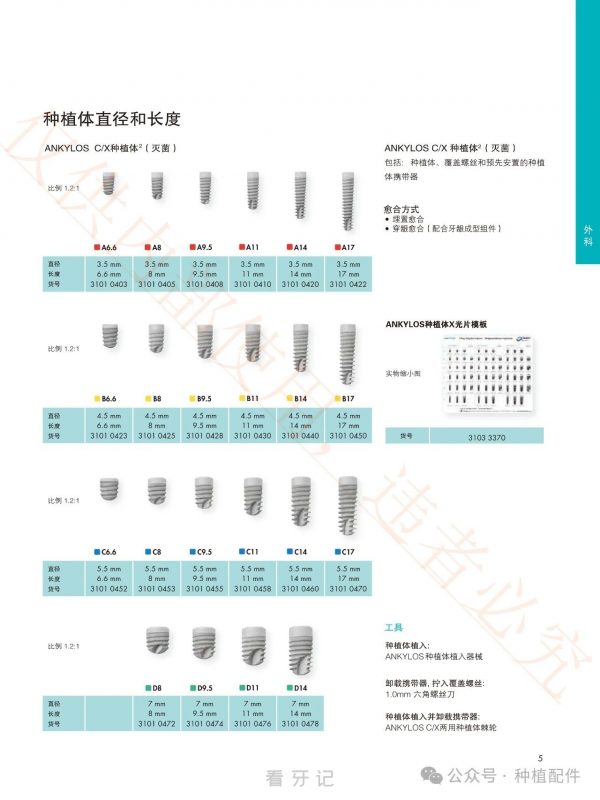 ANKYLOS种植体介绍