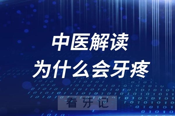 中医解读为什么会牙疼呢？是什么原因导致了牙疼呢？