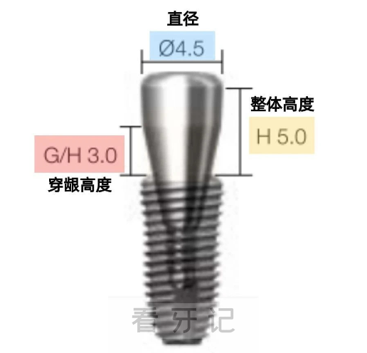 024韩国登腾种植牙多少钱一颗？参考价格3200+"